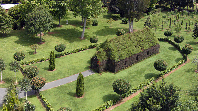 church-built-by-trees