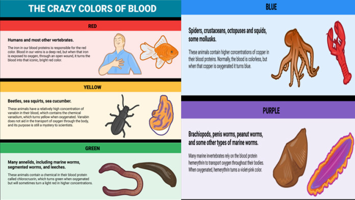 Animal Blood Colours