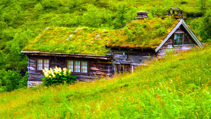 Green Roof Tops| Scandinavian Homes