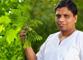 an-ayurvedic-tycoon-balakrisna