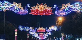 singapore-gets-its-first-diwali-theme