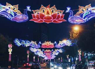 singapore-gets-its-first-diwali-theme