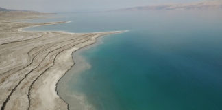 dead-sea-dying