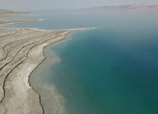 dead-sea-dying