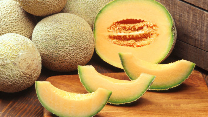 Muskmelon