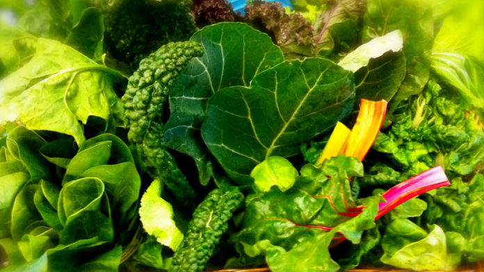 Green Leafy Vegetables