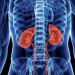 world-kidney-day