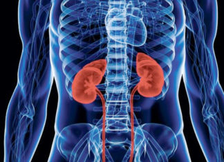 world-kidney-day