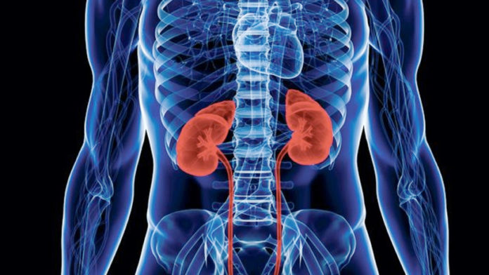 world-kidney-day