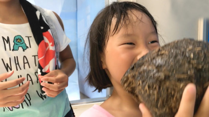 WTF!! Japan Animal Keepers Arranges Poop Exhibition