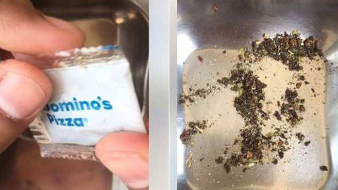 OMG! A Man Found Insects Inside Domino’s Oregano Packet And The Video IS Too Creepy!