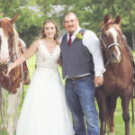 Horse-Smiling-At-Wedding