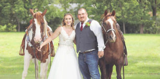 Horse-Smiling-At-Wedding