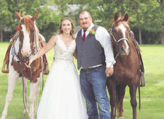 Horse-Smiling-At-Wedding