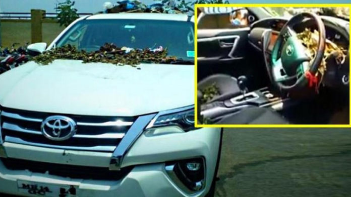 Garbage Was Filled In Toyota Car Worth Of Rs 39 lakhs. know the reason