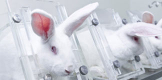 cruelty-free-products